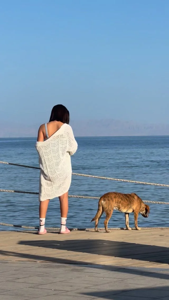 Single girl this is my life🙂‍↔️👌💍🤍🤍🤍