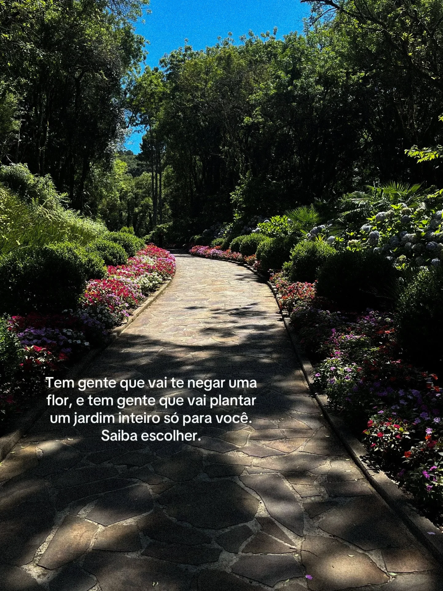 Instagram post by @amordesaturno (DWZkFrKkZ83).