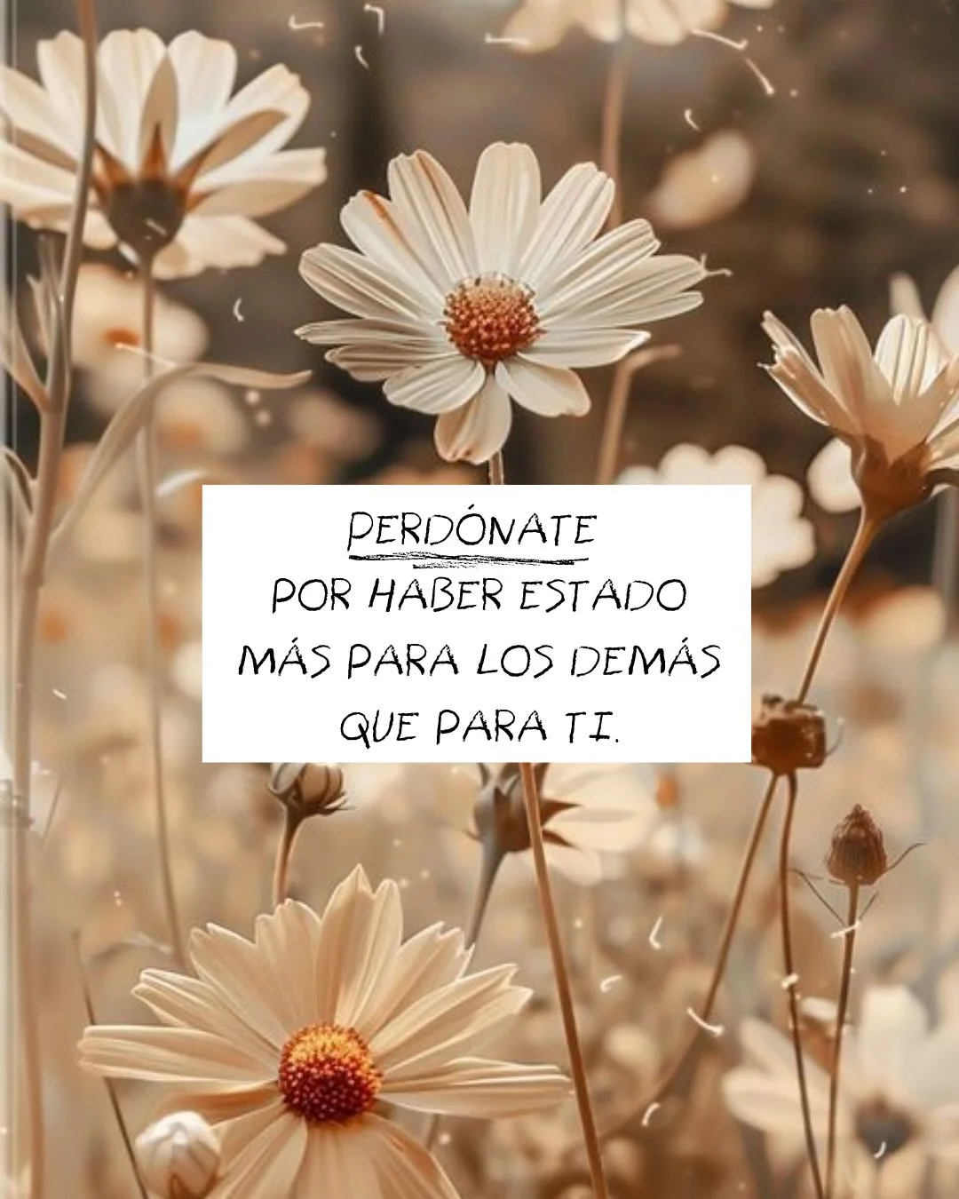 Estas palabras nos recuerdan que el amor propio no siempre aparece de golpe; muchas veces se construye con paciencia, con valentía y también con lágrimas. Si estas frases resonaron contigo, imagina lo que puede desperta...