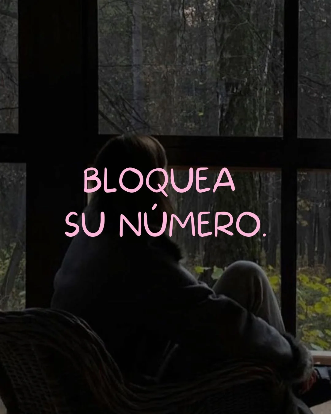 A veces, soltar es la única manera de recuperar la paz. “Aprendiendo a Amarme” es un espacio de acompañamiento para sanar, reencontrarte y reconstruir tu bienestar emocional, paso a paso. En sus páginas vas a encontrar...