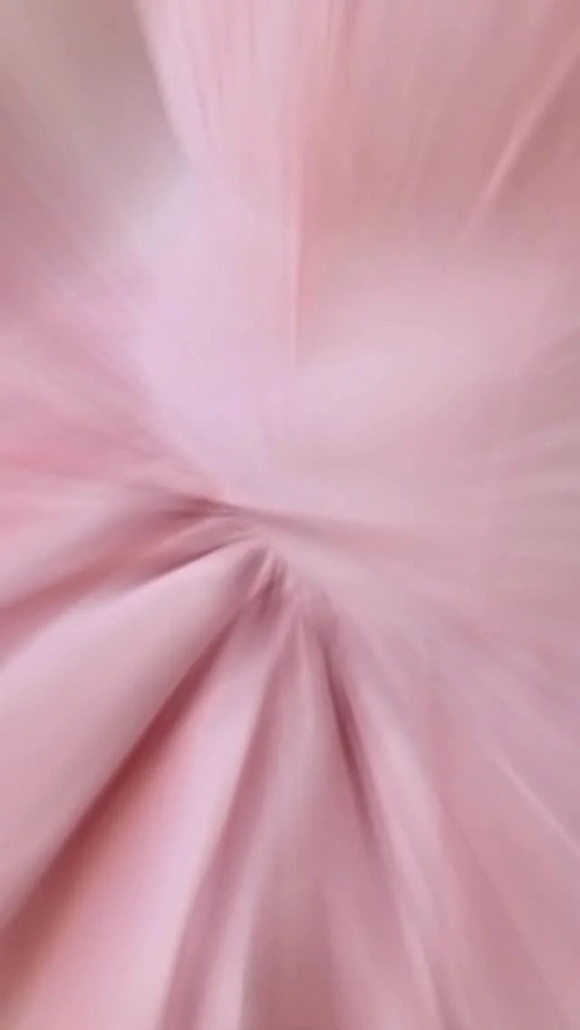 Spring has sprung 🌸